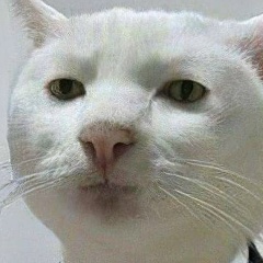 Maksim Yantarny, 16.07, Москва