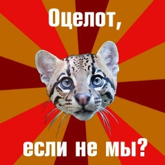 Маша Репка, Якутск