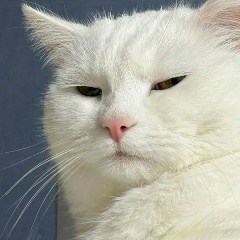 Мария Иванова, Москва