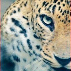 Дана Мырзабекова, 10.05.1987, Алматы