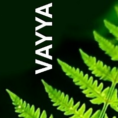 Vayya Life, Владивосток