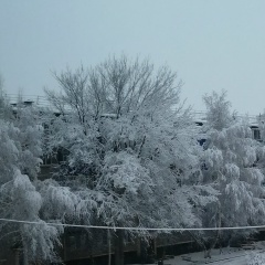 Наталья Дроздова, 04.04.1960, Кувандык