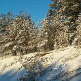 Игорь Богданович, 15.11.1988, Пинск