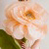 Татьяна Щепетова, 17.07, Днепр (Днепропетровск)