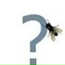 Firstname Lastname, 20.05.1984