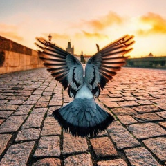 Эркин Султанов, 29.08, Новосибирск