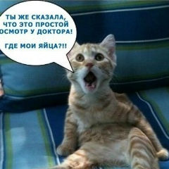 Влад Копылов, Ярославль