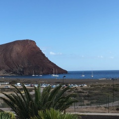 Маргаритка Майснер, 25.02, Санкт-Петербург