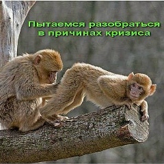Иван Петров, Вологда