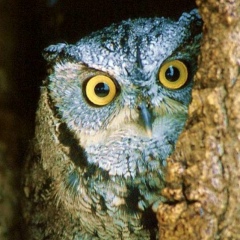 Виталий Романюга, 09.06.1974, Санкт-Петербург