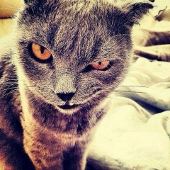 Дмитрий Щербаков, 10.02.1987, Москва