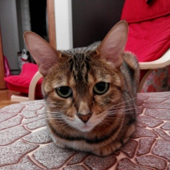 Людмила Куликова, 24.12.1989, Астрахань