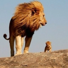 Саид Курбанов, 15.08