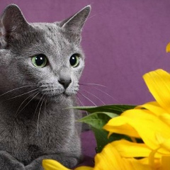 Олена Васильєва, 15.06.1965, Запорожье