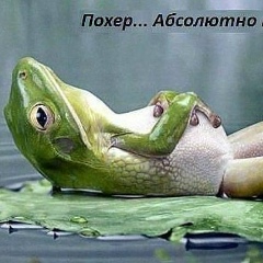 Дмитрий Копытин, Москва