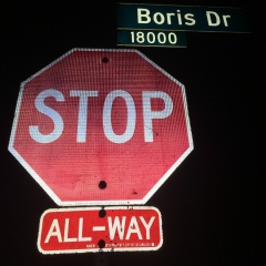 Борис Терехов, Санкт-Петербург