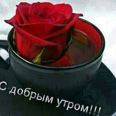 Инди Ди
