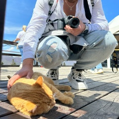 Сухейль Амиракулов, 07.11.1994, Сочи