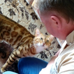 Иван Московских, Сухой Лог