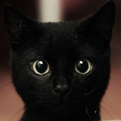 Марина Саух, 21.09, Житомир