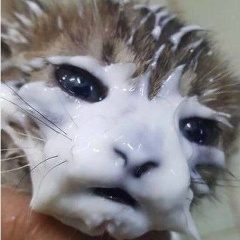 Эдуард Маров
