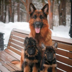 Yana Yar, 27.08.1982, Аксай