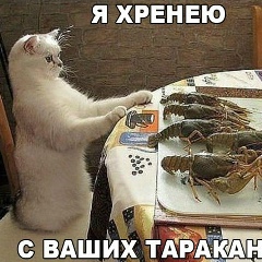 Артур Эдильгириев, Алматы