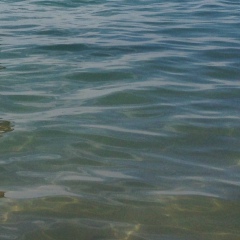 Ренаточка Нагметова, 13.03.1990, Алматы