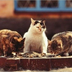 Азамат Дюсембаев, Экибастуз