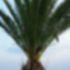 Іваночка Присяжник, 07.07.1988, Львов