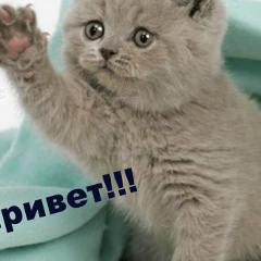 Дрозд Станислав, 08.05, Мозырь