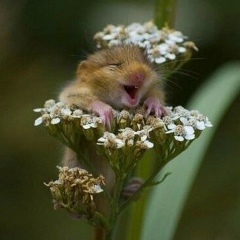 Эдуард Зайцев, 17.07, Москва