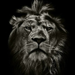 Bahodir Saydillaev, 29.09.1988, Алматы