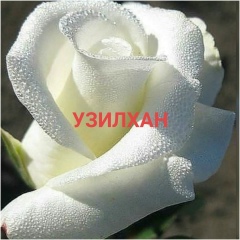 Узилхан Коскулакова, 28.02.1982, Актау