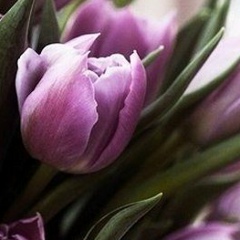 Нигора Исакулова, 14.01