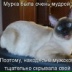 Назира Исмаилова, Алматы