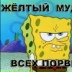 Василий Камушкин, 10.11, Москва