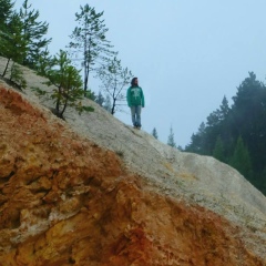 Александр Васильев, 01.11.1901, Киев