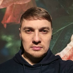 Андрей Черёмушкин, Санкт-Петербург