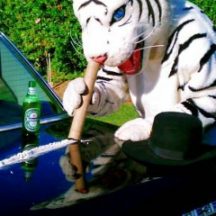 Анатолий Прищепа, 10.01