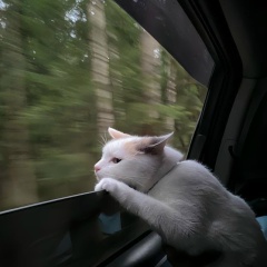 Джульетта Феталиева