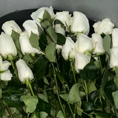 Камила Абдазова, 17.12, Бишкек