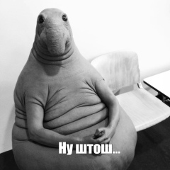 Артем Руденко, Краснодар