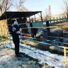 Нурсултан Бейсембаев, 11.08.1990, Шымкент