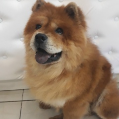 Олечка Петрик, 13.09.1990, Мариуполь