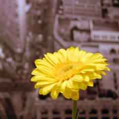 Таня Загорская, 01.04.1988, London