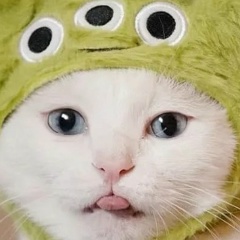 Pure Reason, 12.11.1968, Волгоград