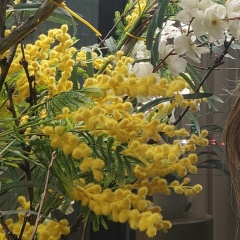 Лилия Низамудинова, 22.12.1984, Челябинск