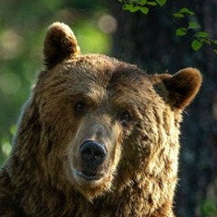 Анастасия Зайцева, 27.04.1989, Выборг