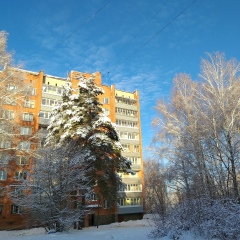 Елена Гук, 07.07